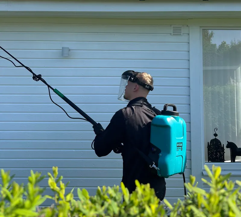 Spindelsanering av vit träfasad med ryggspruta – Spindelmännen